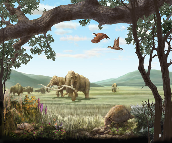 Pleistocene Landscape