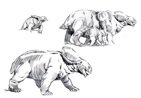 Early sketches of Placerias. Copyright by Karen Carr.