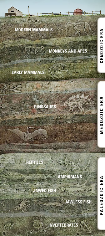 Geologic Column Diagram